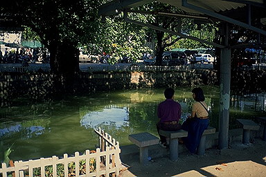 Lovers at canal side<br>Bangkok, Thailand: Bangkok's Narrow Waterways, Bangkok, Thailand
: City Scenes; People You Meet.