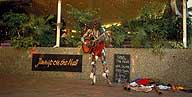 Aboriginal Busker :: Brisbane, Australia