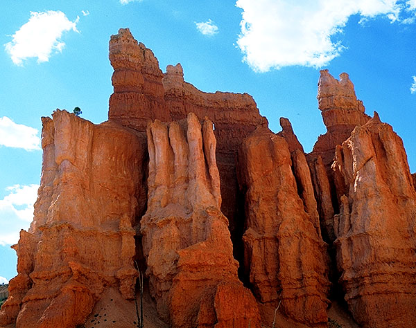 Hoodoos<br>Bryce Canyon National Park<br>Utah, USA: Bryce Canyon National Park, Utah, United States of America
; Geological Formations.