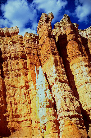 Like a Wall of Hoodoos<br>Bryce Canyon National Park<br>Utah, USA: Bryce Canyon National Park, Utah, United States of America
; Geological Formations.
