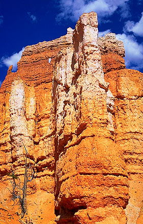 A Walk Under-the-Rim<br>With the Hoodoos<br>Bryce Canyon National Park<br>Utah, USA: Bryce Canyon National Park, Utah, United States of America
; Geological Formations.