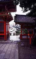 Park Gates to the City :: Kyoto, Japan