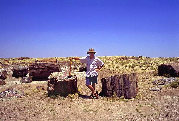 The Faller<br>Petrified Forest National Park, Arizona: Petrified Forest National Monument, Arizona, United States of America
: Geological Formations; The Author.