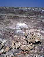 Bluffs at the Edge :: of the Painted Desert :: Petrified Forest National Park, Arizona