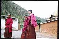 Photo of young monks :: and taken by a young monk.