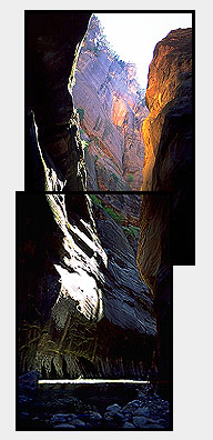 The Narrows<br>Zion National Park<br>Utah, USA: Zion National Park, Utah, United States of America
: Canyons; Rivers.