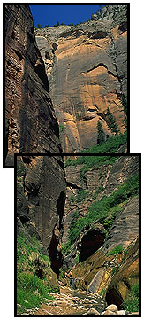 The Narrows<br>Zion National Park<br>Utah, USA: Zion National Park, Utah, United States of America
: Rivers; Canyons.