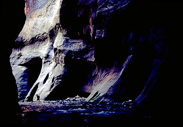 The Narrows<br>Zion National Park<br>Utah, USA: Zion National Park, Utah, United States of America
: Rivers; Geological Formations.