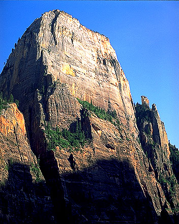 The Great White Throne<br>Zion National Park<br>Utah, USA: Zion National Park, Utah, United States of America
: Geological Formations.